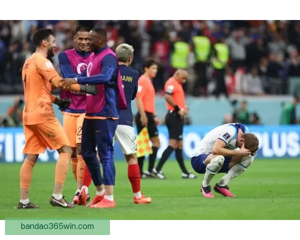 半岛体育入口最新资讯与精彩赛事动态全方位解读