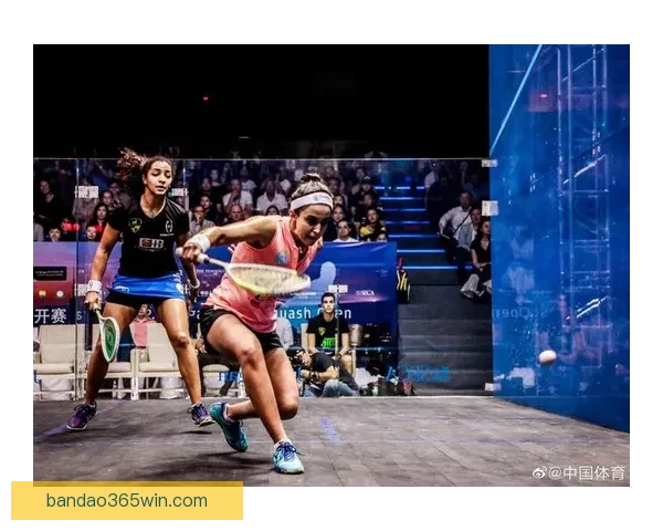 半岛体育最新赔率解析与热门赛事投注策略全解