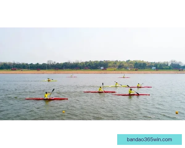 半岛体育入口最新资讯与精彩赛事动态全方位解读